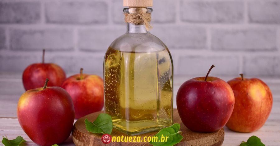 Um dos melhores remédios para refluxo é vinagre de maçã. Pois equilibra a produção de ácido no estômago.